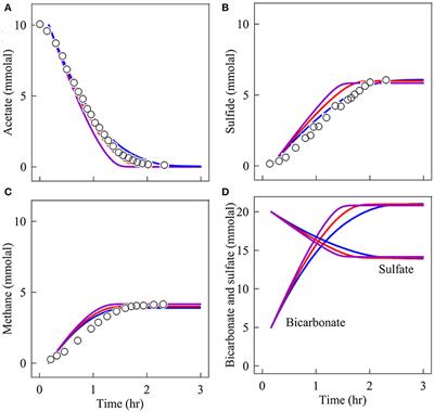 pH as a Primary Control in Environmental Microbiology: 2. Kinetic Perspective